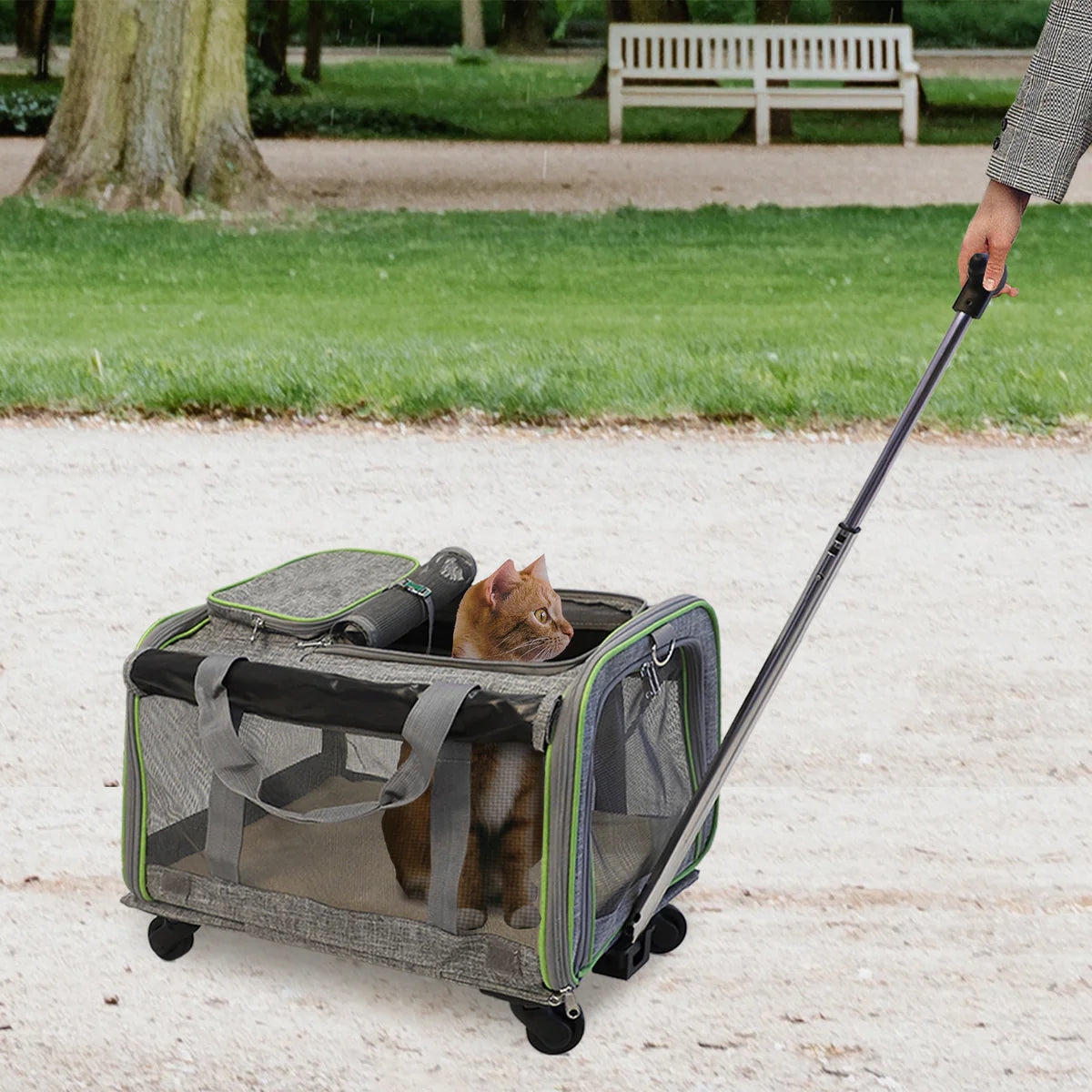 Foldable Travel Pet Carrier, retractable Pull Rod Design, Side Mesh, Breathable