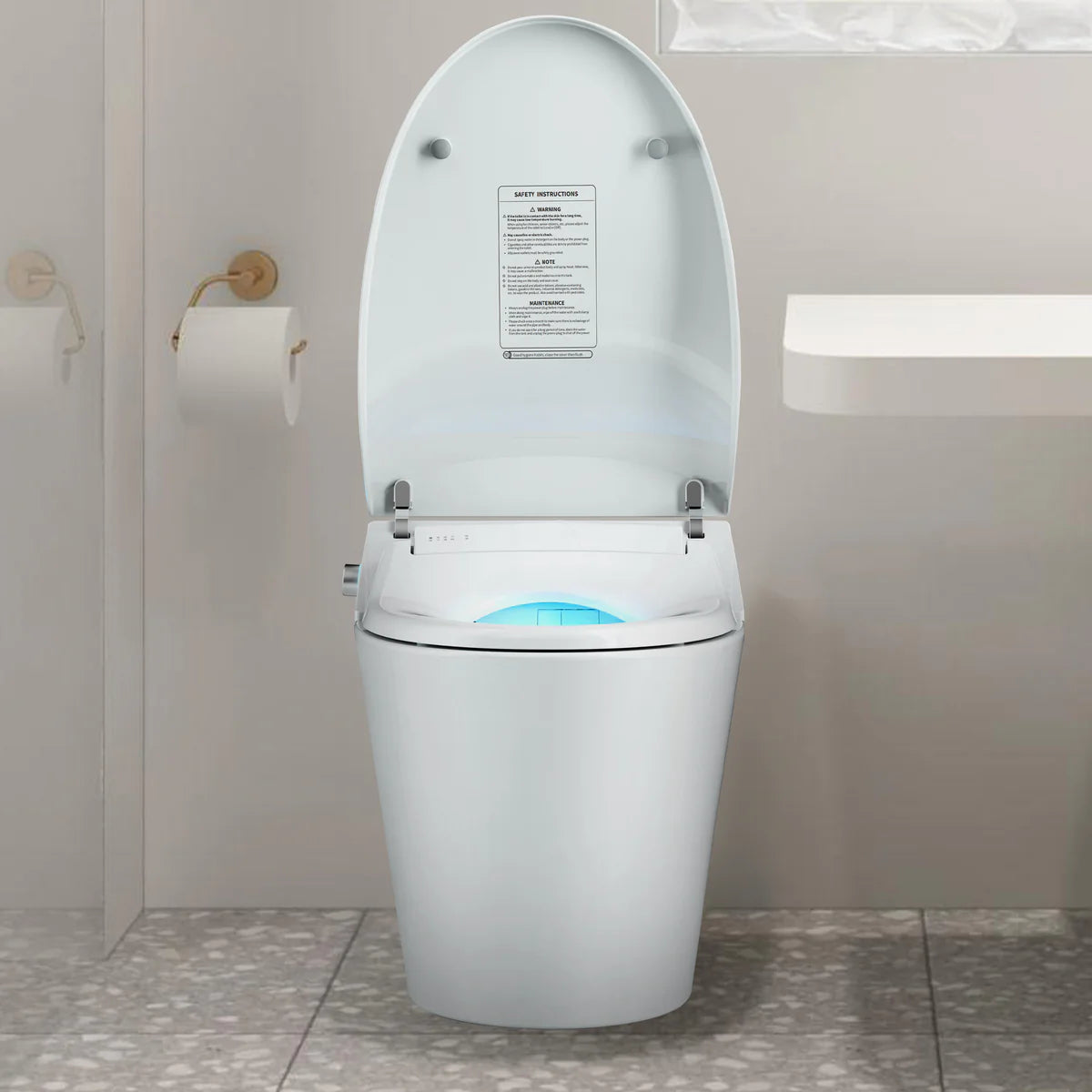 Electronic Smart Toilet Bidet with Heated Seat, Off-Seat Auto Flushing & Dryer, One Piece Bidet with Self-Cleaning Nozzle, LED Night Light