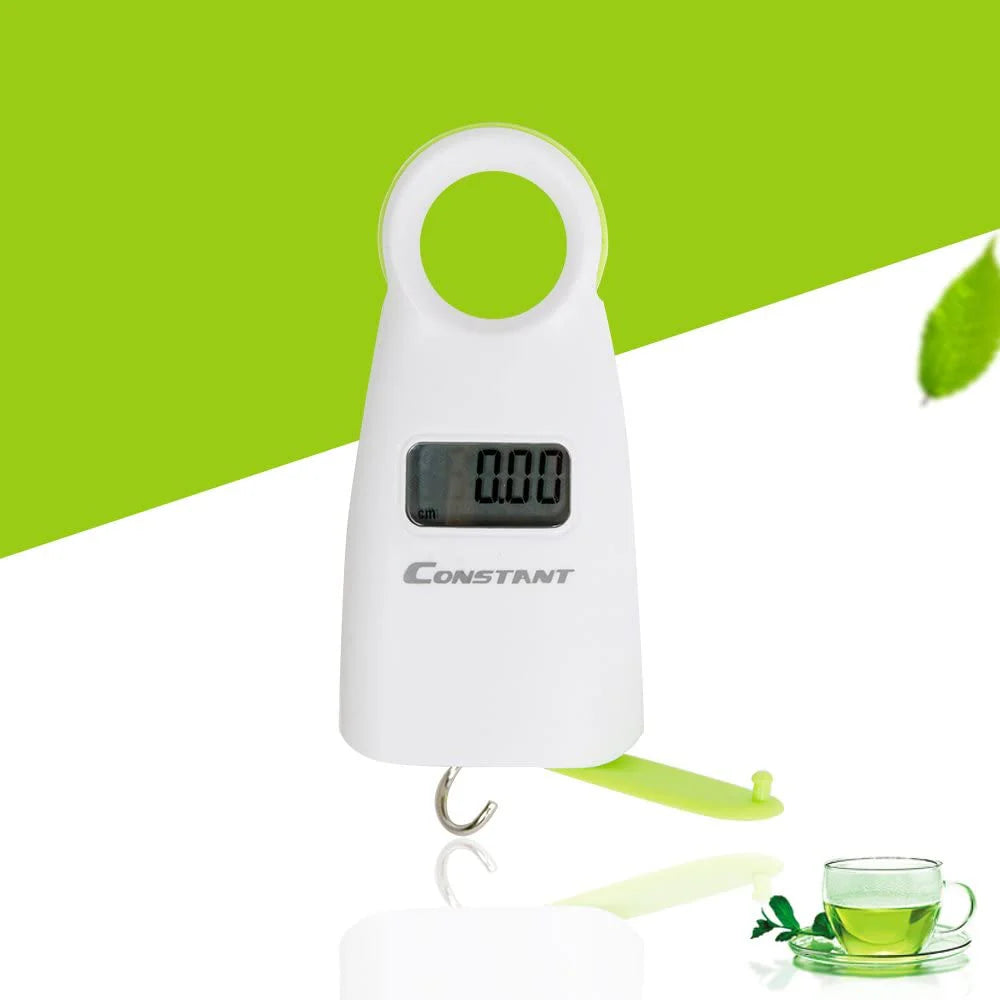 Portable Digital Pocket Luggage Hook Scale for Kitchen