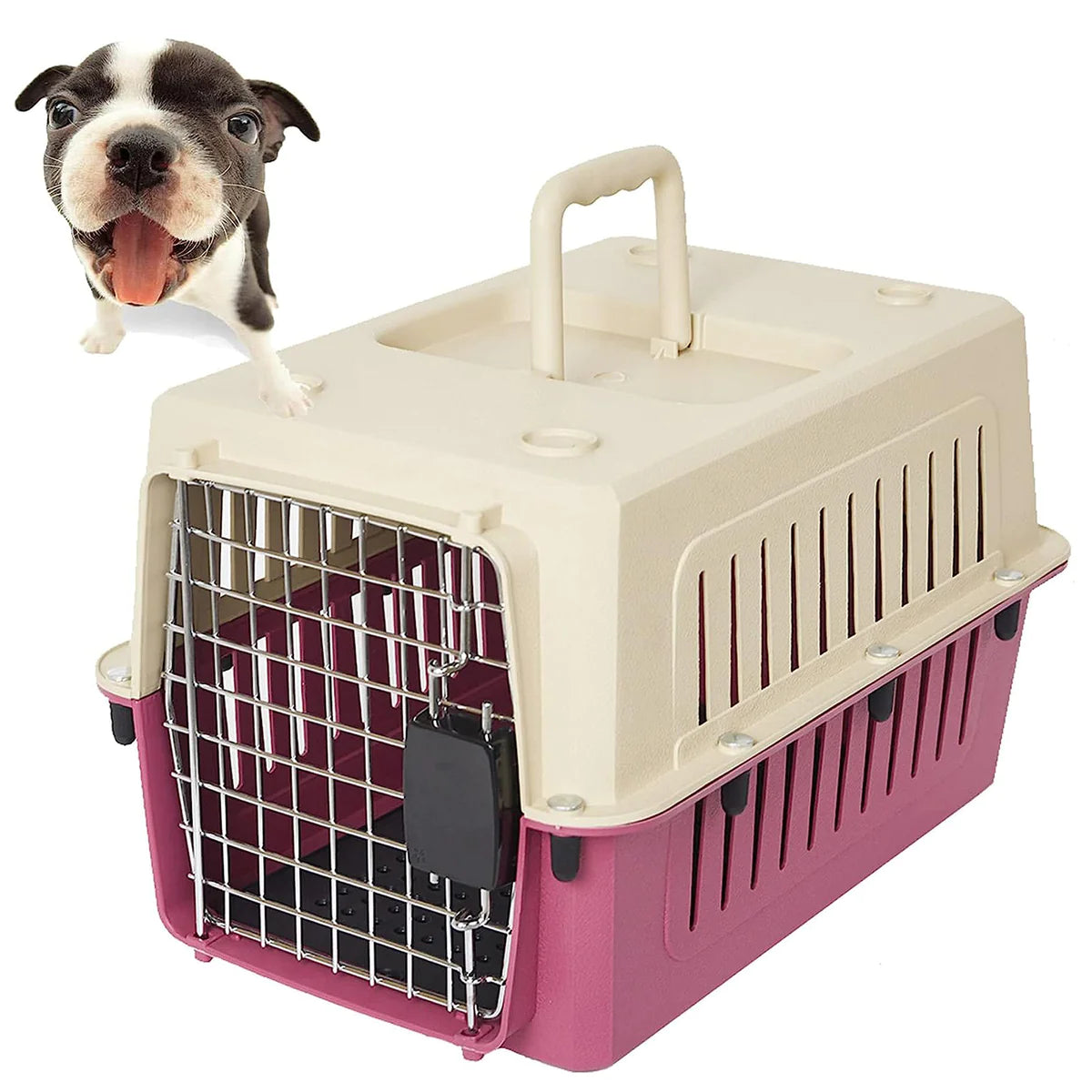 Medium Airline pet carrier, portable and removable, large space, Plastic Lightweight, Red/Blue