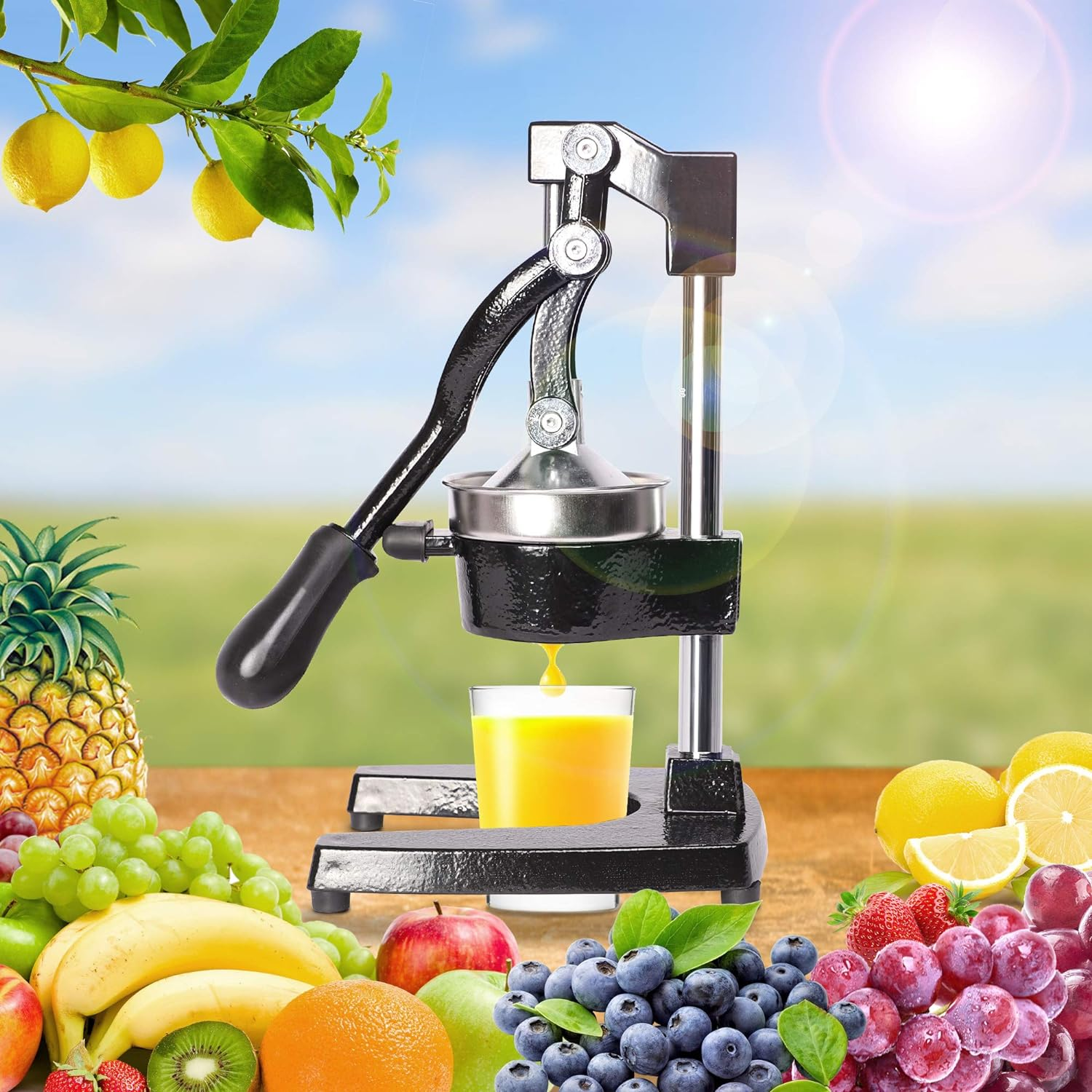 Juicer Labor-saving Manual Commercial Juicer Press Fruit Squeezer with Stable Non-slip Base, Black